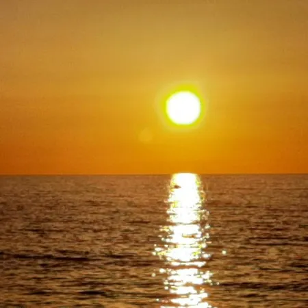 Giulymar * טרופאה