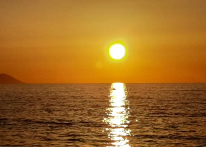 Giulymar * טרופאה